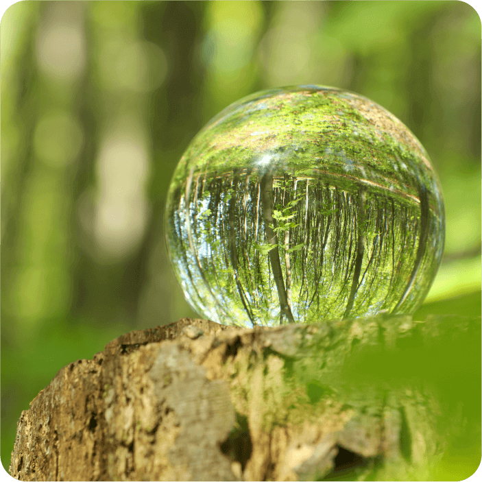 CSR/環境への取り組みへのリンク画像